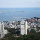 동삼 이미지