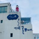 리틀애견 이미지