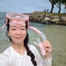 스노쿨링 마스크 진심 편했던 벨루가 아쿠아핏 후기
