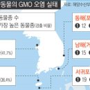 [단독]한국의 세 바다 'GMO'로 물들고 있다 이미지