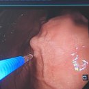 강남바른내과의원 이미지