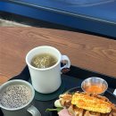 고색애견 이미지