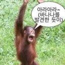 르무아드메