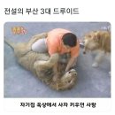 전설의 부산 3대 드루이드 ㄷㄷㄷ .jpg 이미지