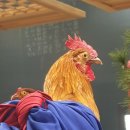 초야 Daum카페