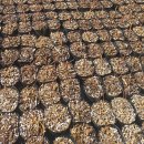 목골농장 이미지