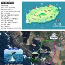 제주벨루가