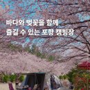 칠포그린로즈펜션야영장 | 포항 벚꽃명소 칠포그린로즈캠핑펜션야영장 가을에는 어떨까