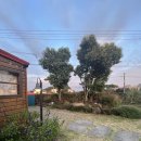 볼레낭집 이미지