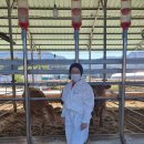 차씨축산 이미지