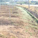 부동농장 이미지