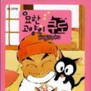 묘한고양이