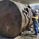 고령주유소 이미지