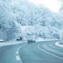 타이어시즌 이미지