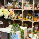 강아지나라 이미지