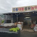 제일종묘농약사 이미지