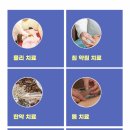 더시작 이미지