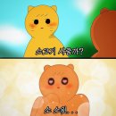 광주패밀리랜드 카라반캠핑장 이미지