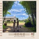 대한목장 | 제주 서귀포 카페 대한목장 홀리랜드 솔직후기