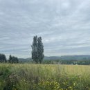 이레팜 | [훗카이도/삿포로] Day2 비에이 투어 (쥰페이 포함) 내돈내산