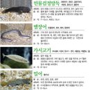 우리고기 이미지