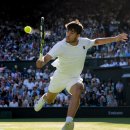 윔블던 이미지