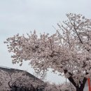 카츠를담다 이미지