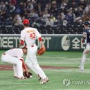 번트라운드 이미지