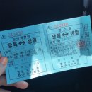 이엘관광농원 | 완도]생일도 1박2일 + 이엘 관광농원 + 더덕삼겹살
