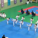 나토얀태권도장 이미지