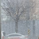 피자명 | [Lv. 118] 2026년 1월 1일부터 11일 까지의 일상(본격 적인 2026년 시작!, 주현이 만남💗, 지영이 만남🎀)