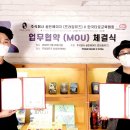 한국타로교육협회