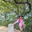 완산-151 Daum카페