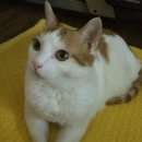 누리커뮤니케이션 이미지