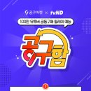 비엔디기획