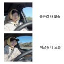 세종모터스 이미지