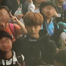 대영 이미지