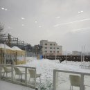 해피댕스 | 광교 수지 강아지카페 카페댕스 꼬똥드툴레아 앙쥬랑 겨울나기