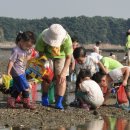 7월의 가볼만한 곳 6선 이미지