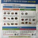 270-4015 | 메디피움 판교 건강검진 대장내시경 후기! (+식단 포함)