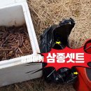 평지낚시