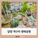 성사2호(별모래 어린이공원) | 담양 실내 겨울 아이와 가볼만한곳 개구리생태공원