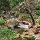 천보산자연휴양림 이미지