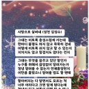 성천 이미지