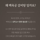 [#갈비탕밀키트] 백육공 갈비탕 밀키트 솔직 후기!