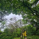 거제휘게펜션 | 가조도 옥녀봉 등산코스 민쥬쥬 가조도를 걷다❤️