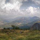 형제반점 이미지