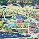 서산-동부-비상-25 | "충남 봄 여행지 추천, 서산유기방가옥에서 즐기는 수선화 군락·고택 산책 코스 완벽 정리"