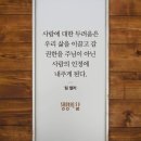 화이트 독 이미지