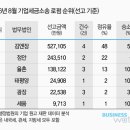 정안개발